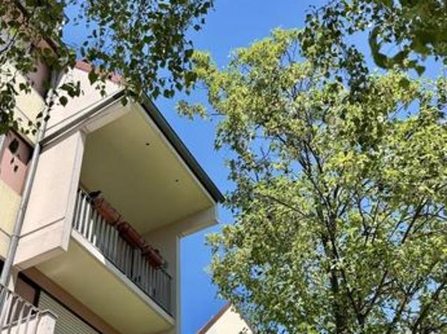 Appartement vente à Strasbourg, Schiltigheim