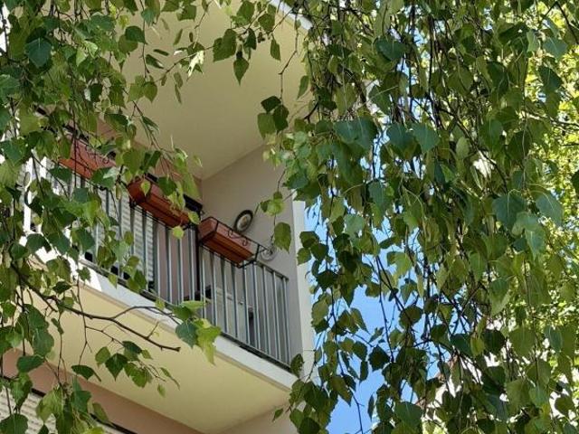 Appartement vente à Strasbourg, Schiltigheim