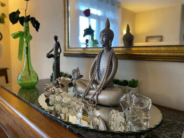 Appartement vente à Vienne