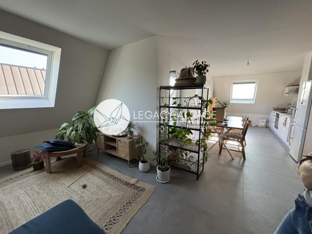 Appartement location à Haguenau-Wissembourg, Brumath