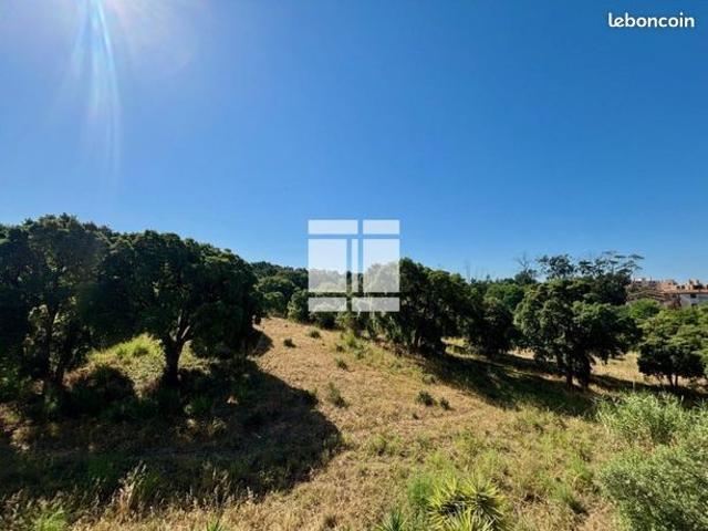 Appartement vente à Ajaccio