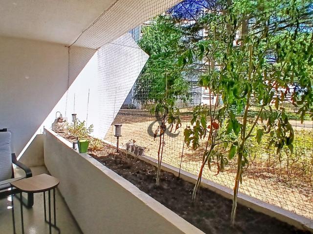 Appartement location à Blois, La Chaussée-saint-victor