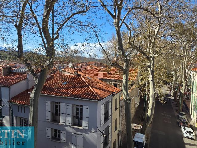 Appartement vente à Céret