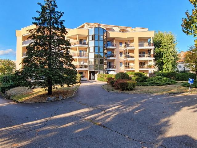 Appartement vente à Saint-Dié-des-Vosges, Vosges