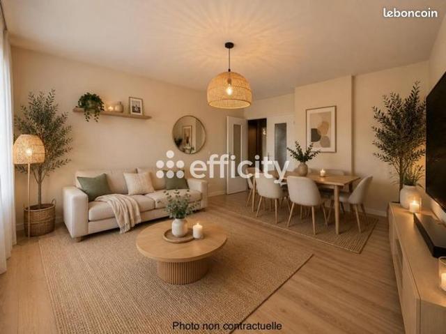 Appartement vente à Vendeville, Nord