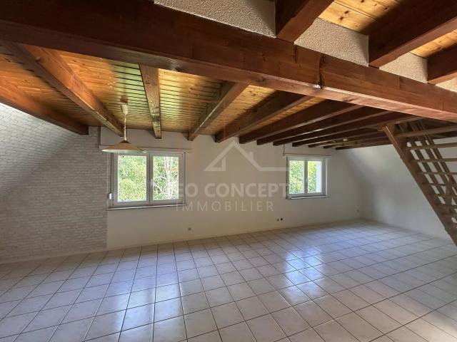 Appartement location à Haguenau-Wissembourg, Seltz