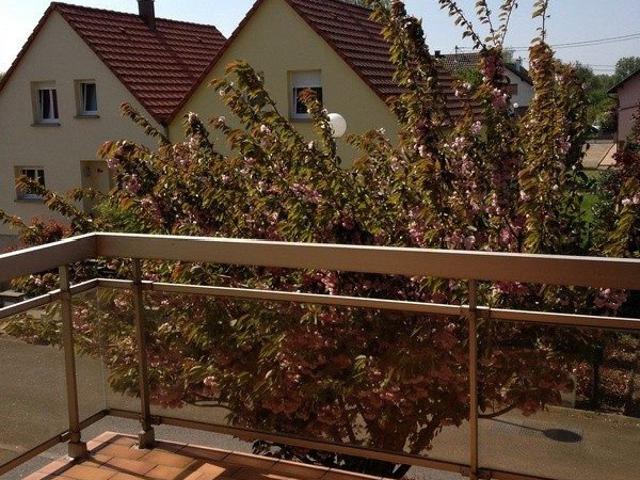 Appartement vente à Brumath, Collectivité européenne d'Alsace