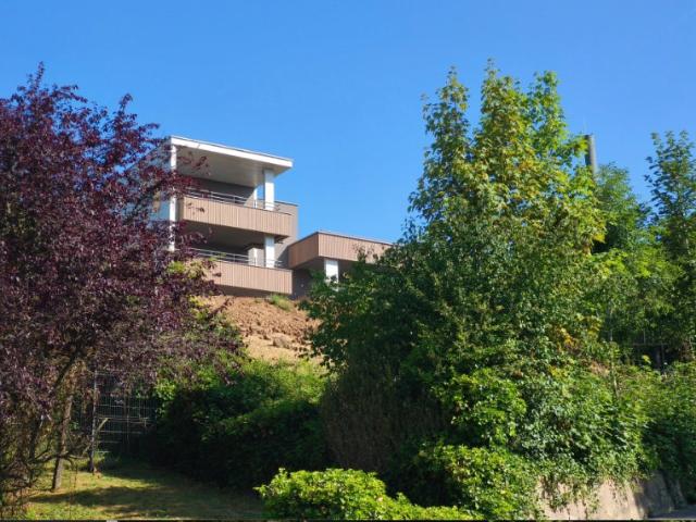 Appartement vente à Thionville