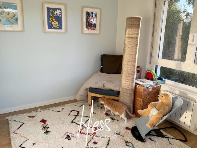 Appartement location à Strasbourg, Holtzheim