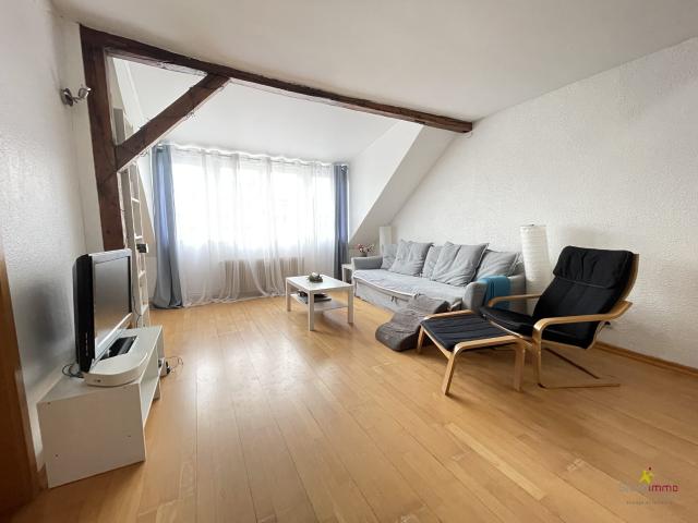 Appartement vente à Strasbourg, Hoenheim