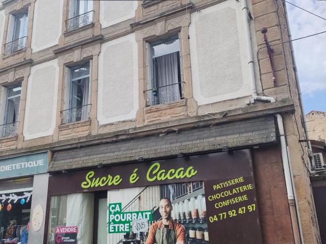 Appartement vente à Saint-Étienne, Le Chambon-feugerolles