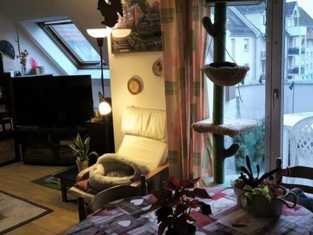 Appartement vente à Strasbourg, Oberhausbergen