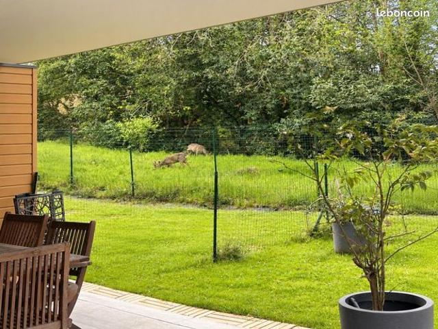 Appartement vente à Bayonne