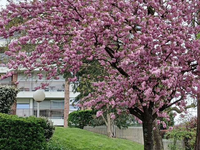 Appartement vente à Lille, Wasquehal