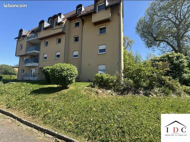 Appartement vente à Sarrebourg-Château-Salins, Sarrebourg