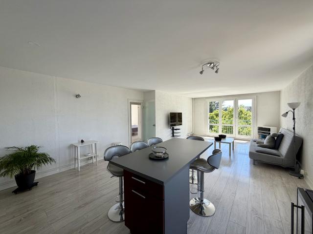 Appartement vente à Orléans, Olivet