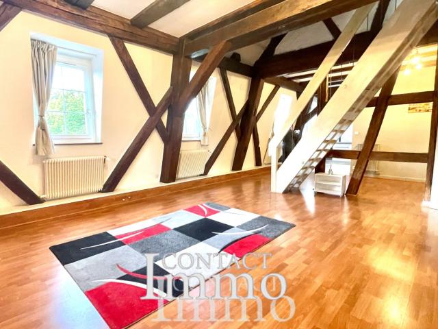 Appartement vente à Colmar-Ribeauvillé, Colmar