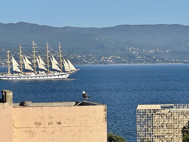 Appartement vente à Ajaccio
