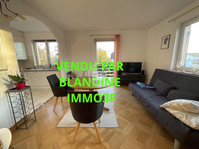 Appartement vente à Mulhouse, Hégenheim