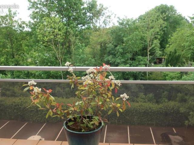 Appartement vente à Bourges