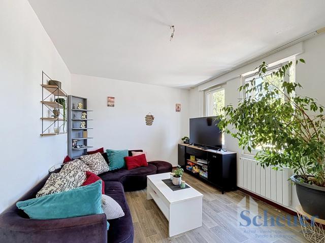 Appartement vente à Quartier des Tanzmatten, Sélestat