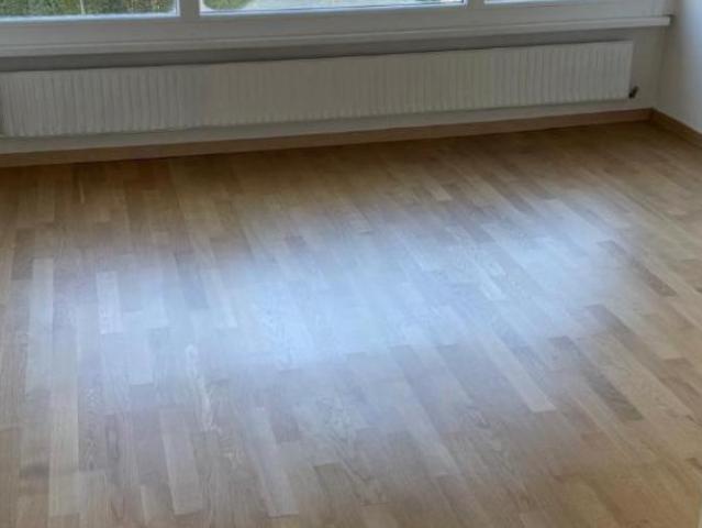 Apartment mieten in Onex