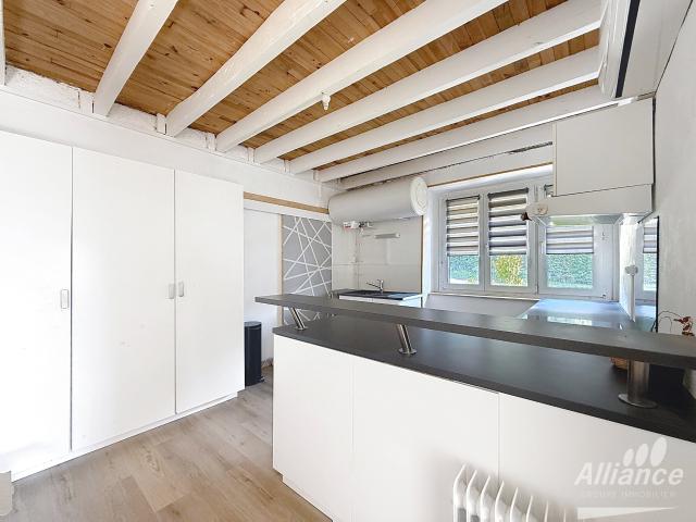 Appartement vente à Montbéliard, Allondans