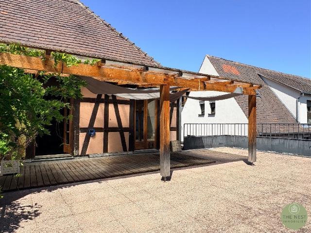 Appartement location à Colmar-Ribeauvillé, Ammerschwihr