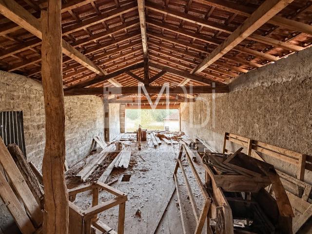 Appartement vente à Lent, Ain