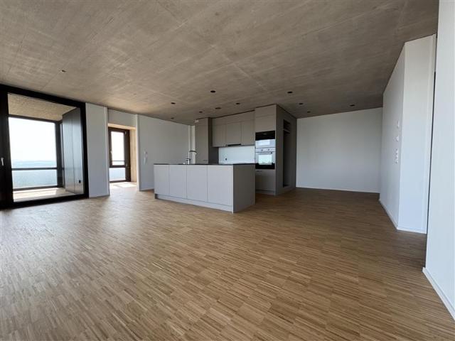 Apartment mieten in Rudolfstetten, Aargau