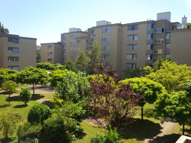 Apartment mieten in Einigen, Zürich