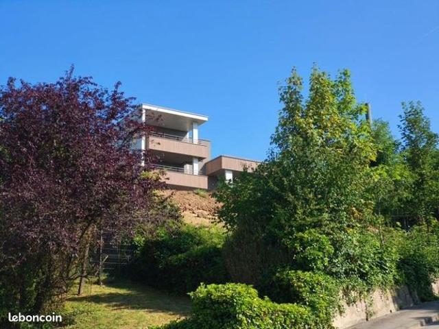 Appartement vente à Thionville