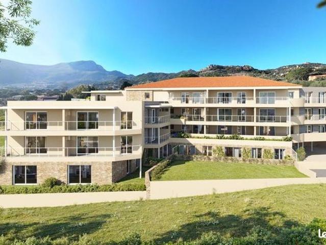 Appartement vente à Calvi