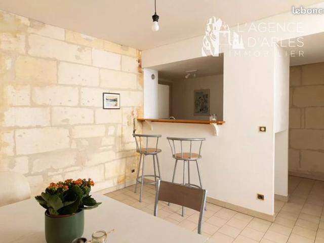 Appartement vente à Arles