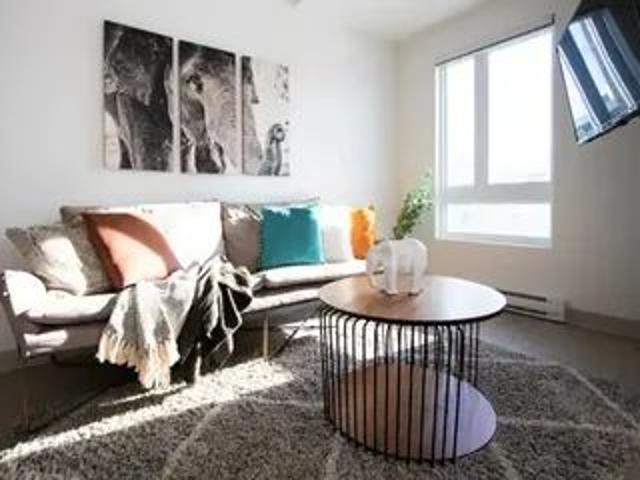 Apartment for rent in TOD quartier Berri UQAM, Montréal