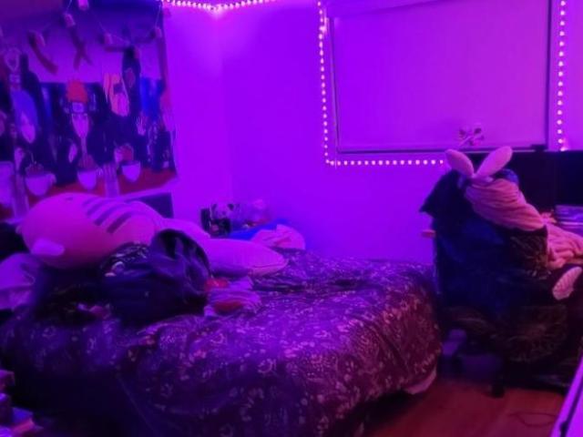 Apartment for rent in Lévis, Quebec