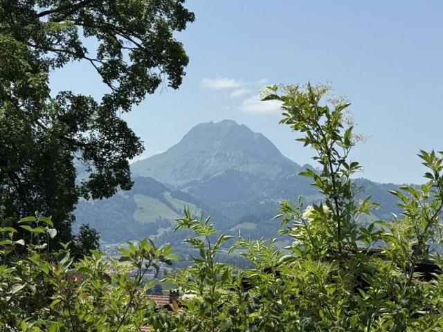Immobilie kaufen in Botterens, Freiburg