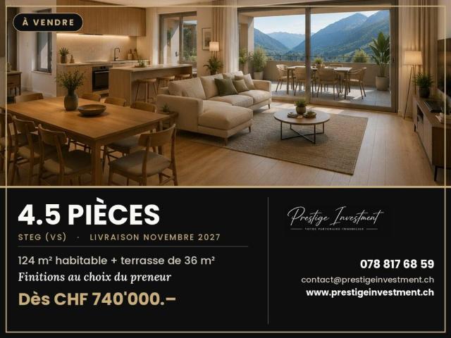Wohnung kaufen in Steg (VS), Wallis