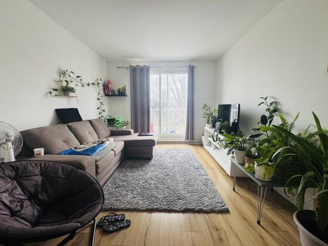 Apartment for rent in Québec, Quebec