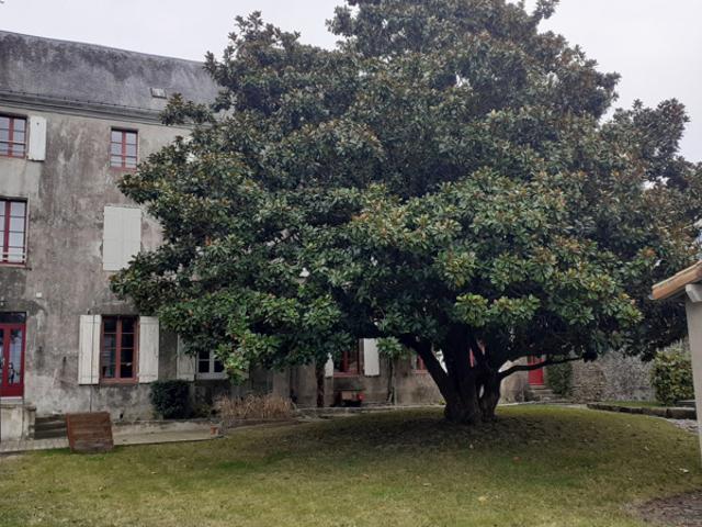 Appartement vente à Parthenay