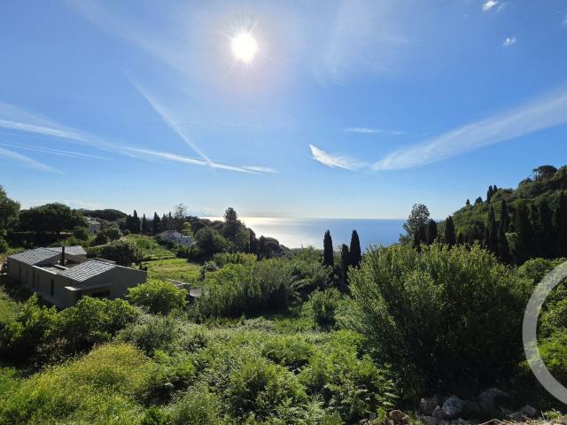 Appartement vente à Bastia