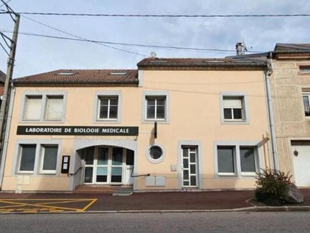 Appartement vente à Saint-Dié-des-Vosges, Raon-l'etape