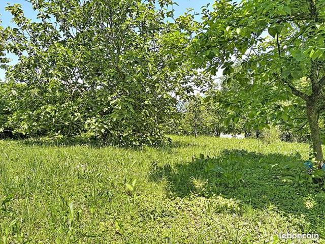 Appartement vente à Bonneville, Amancy
