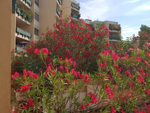 Appartement vente à Montpellier