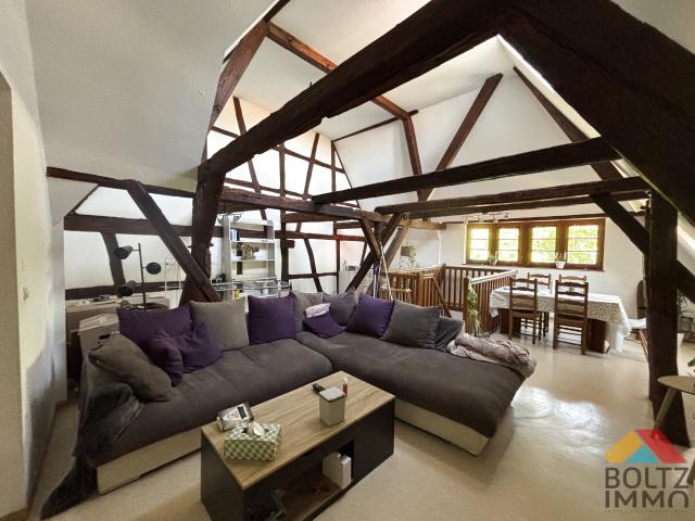 Appartement location à Sélestat-Erstein, Dambach-la-ville