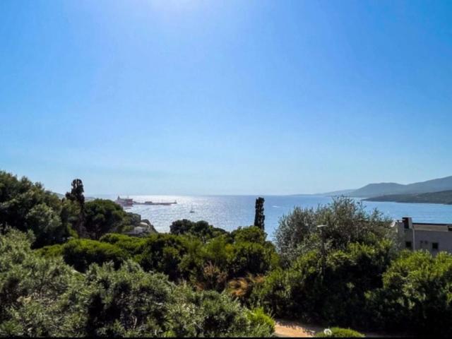 Appartement vente à Sartène, Propriano