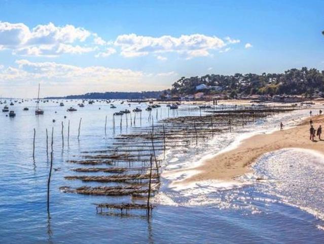Appartement vente à Arcachon, Lège-cap-ferret