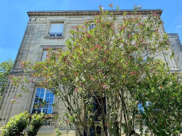 Appartement location à Bordeaux