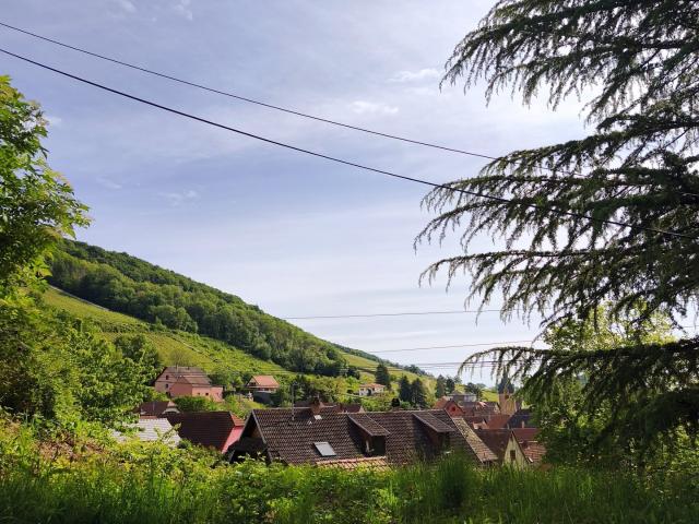Appartement vente à Reichsfeld, Collectivité européenne d'Alsace