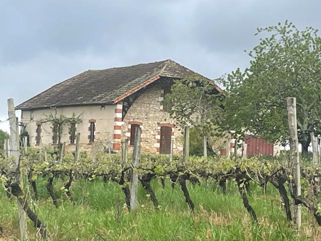 Appartement vente à France métropolitaine, Betbezer-d'armagnac